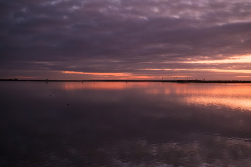 Winter 24-25 - Ijmeer bij Ijburg